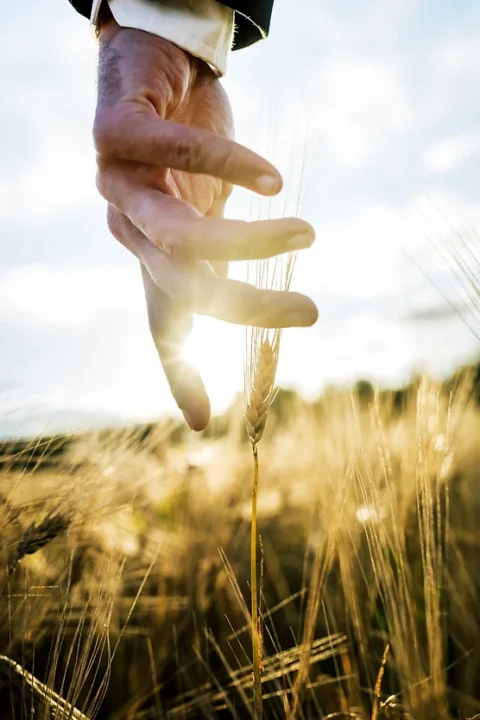 PMV ou MVP : définition et méthode agile | Le Blog iasagora