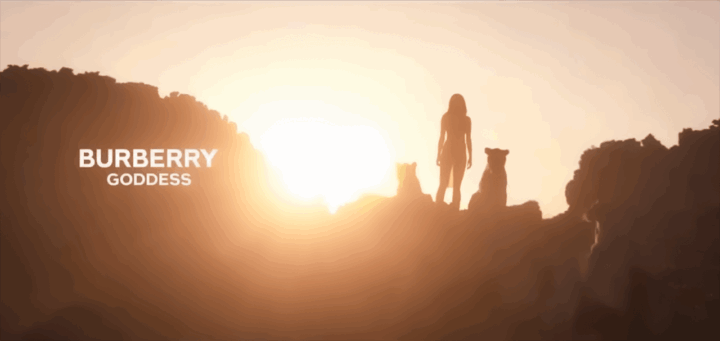 Bannière Burberry Goddess | iasagora
